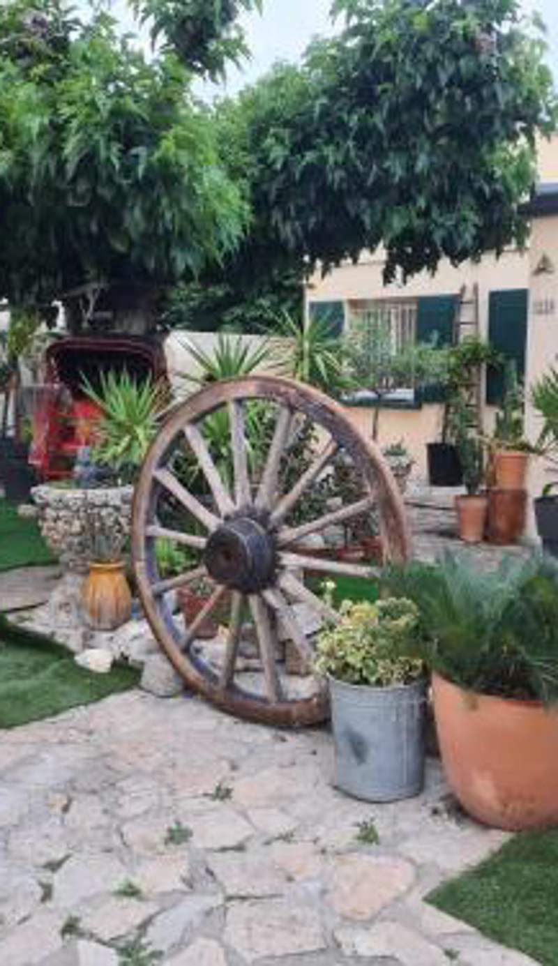site paradis rue colibri