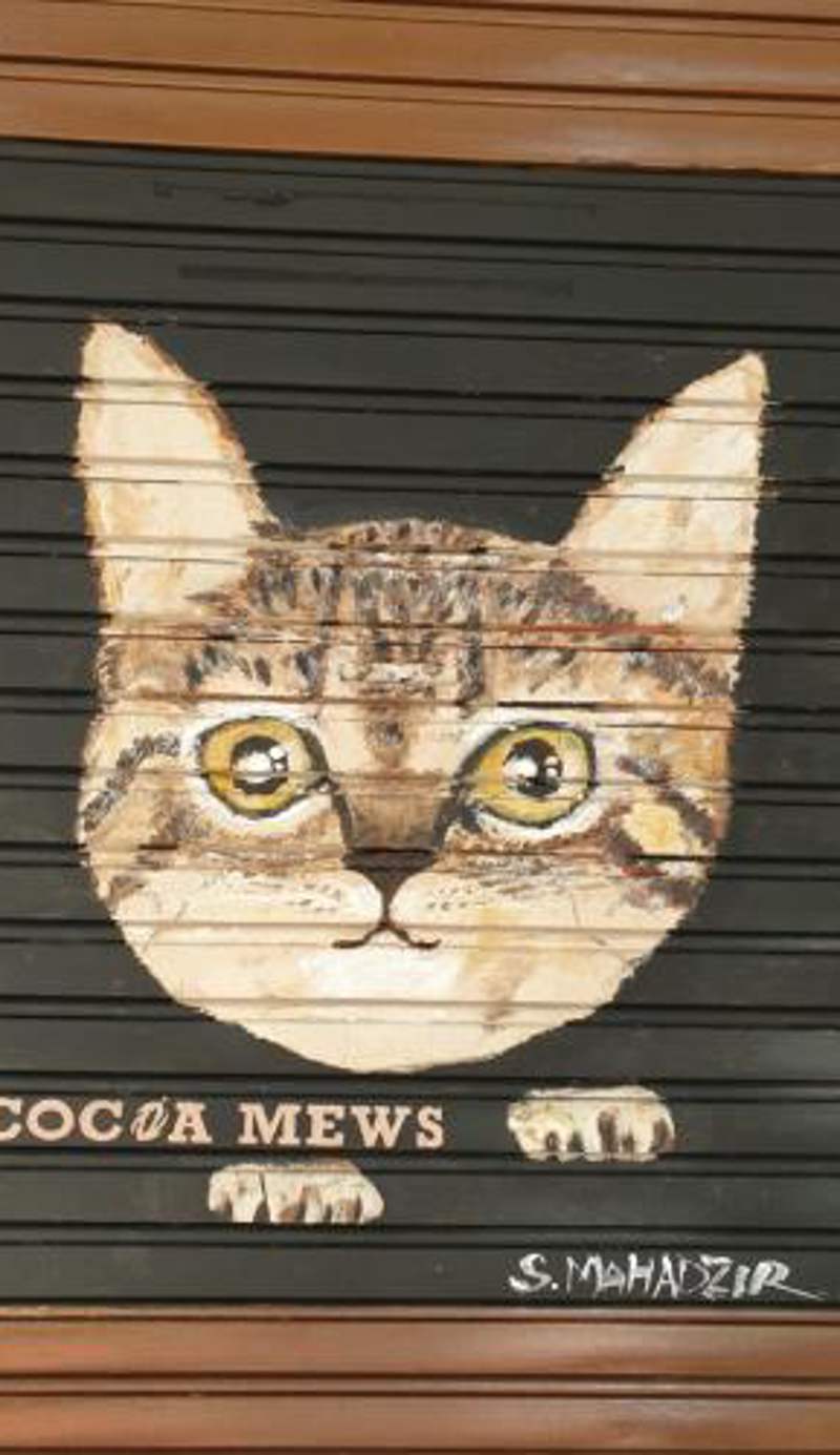 Cocoa Mews Cafe and Homestay
