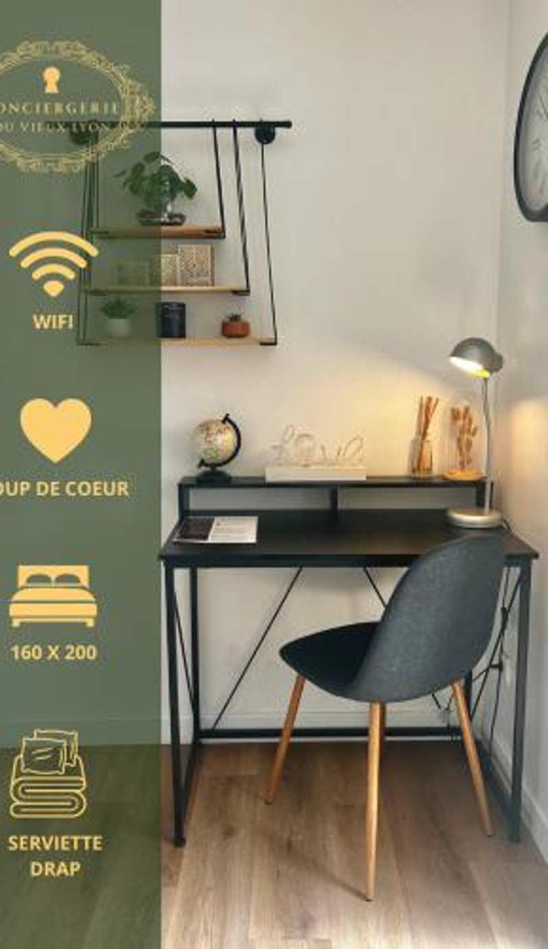 Beautiful bright apartment - Near Fourvière