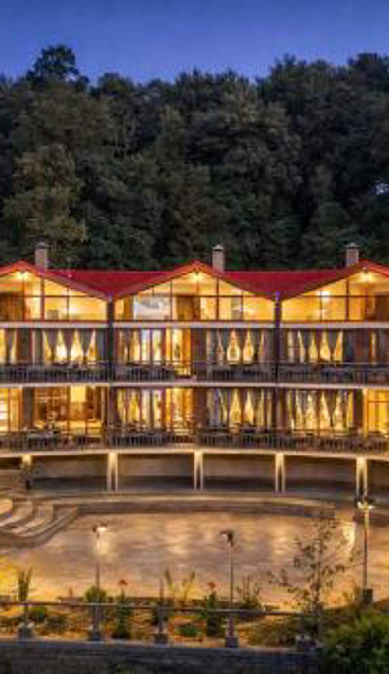 THE CEDAR CASTLE