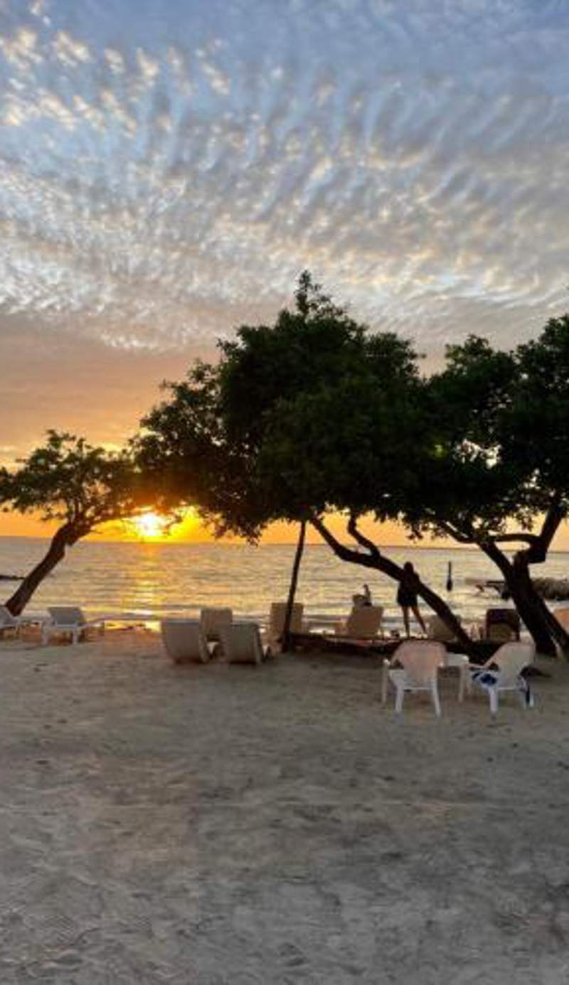 Hotel Carey Beach Baru