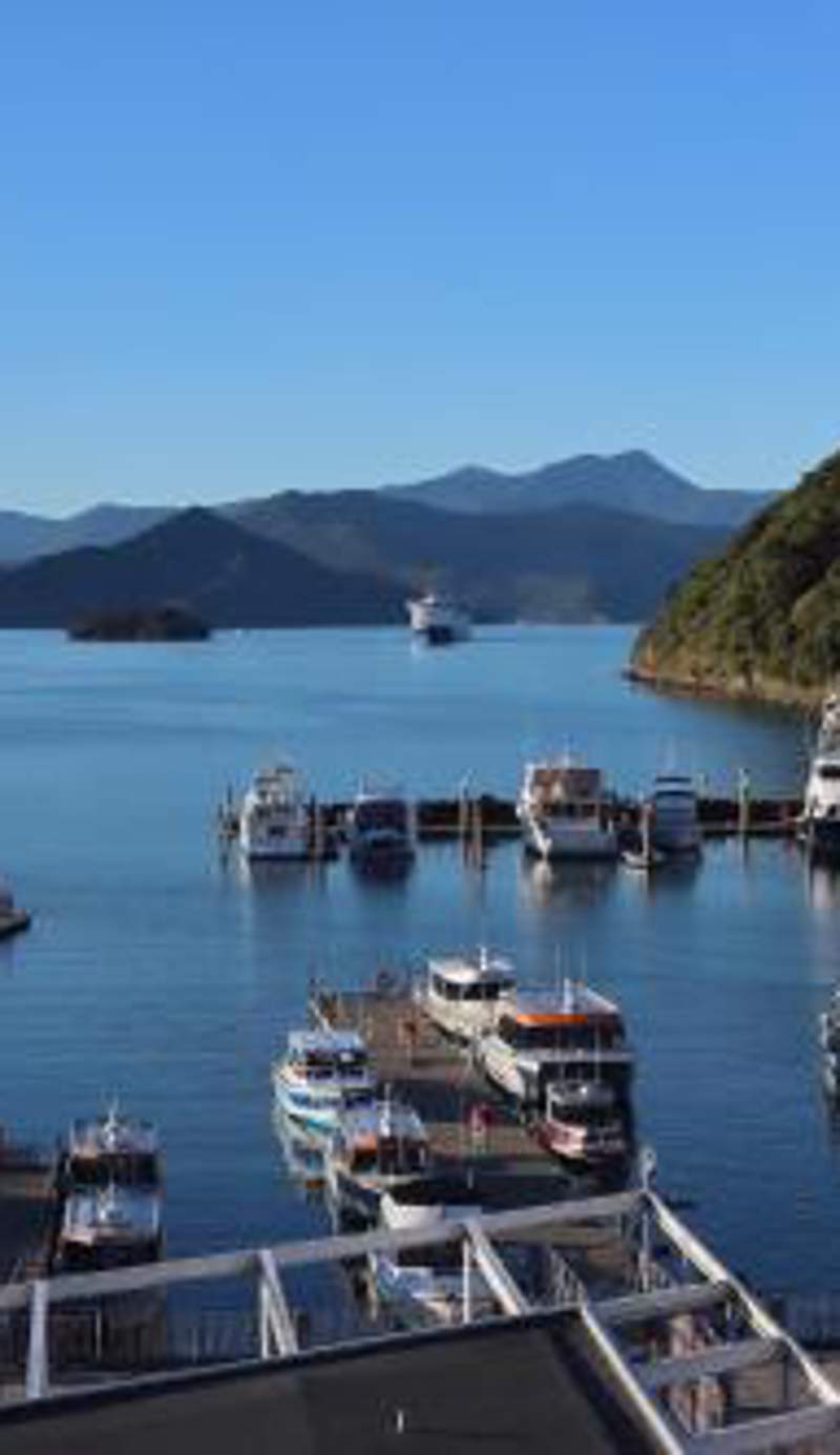 Waterfront Retreat on the foreshore of Queen Charlotte Sound