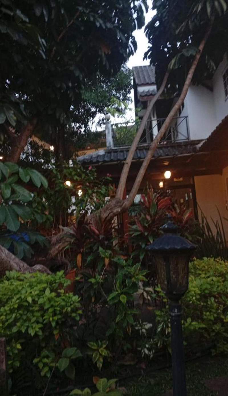 Charlie House Pinklao