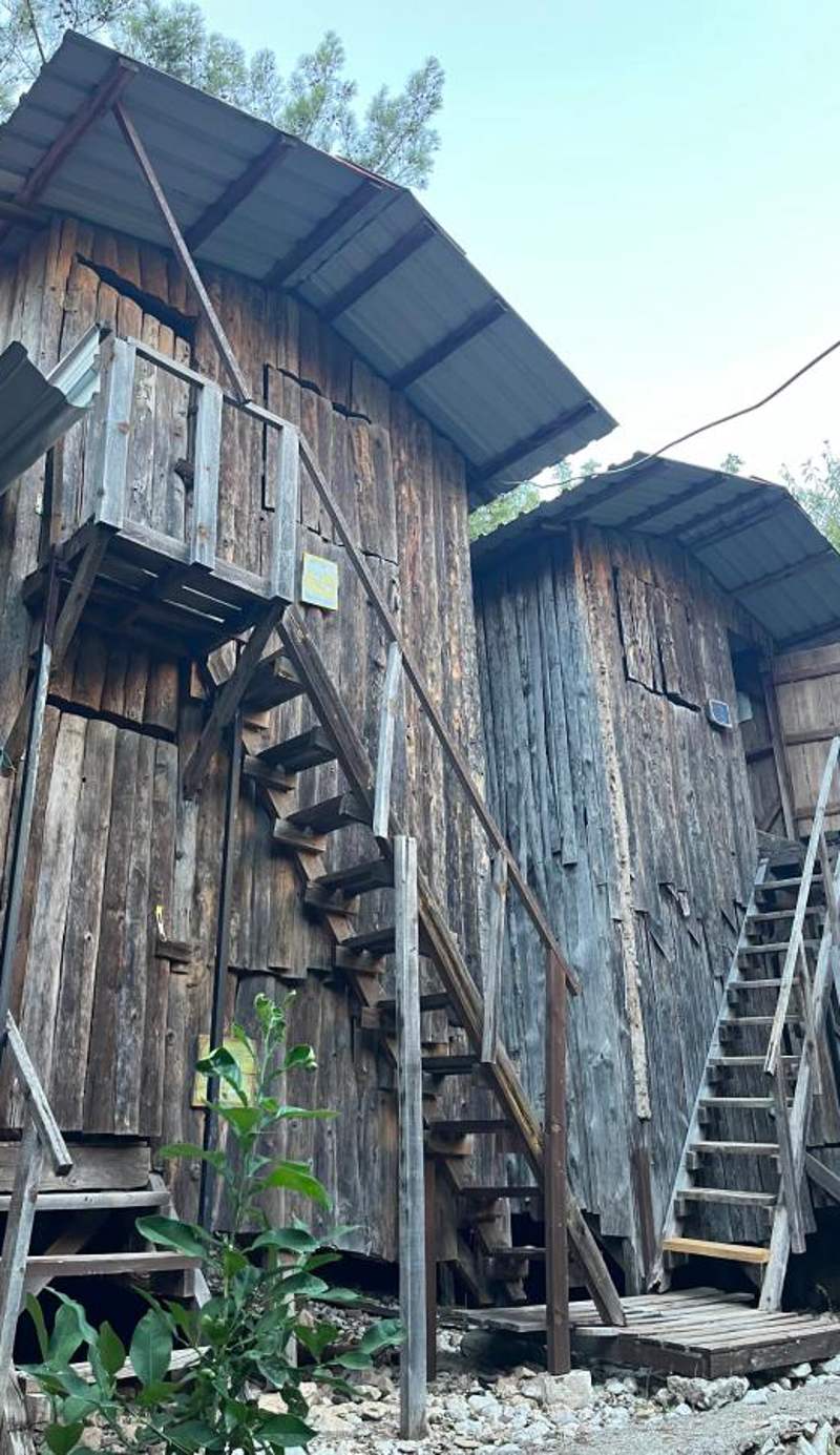 Bayrams Treehouse