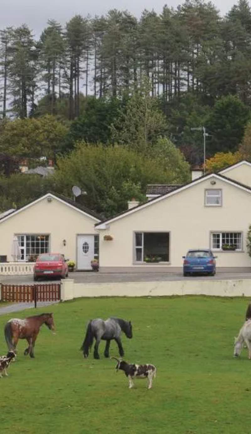 Muckross Riding Stables