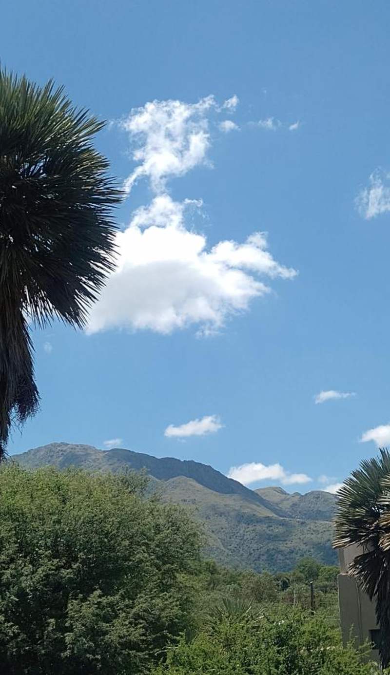 Palmares al cerro