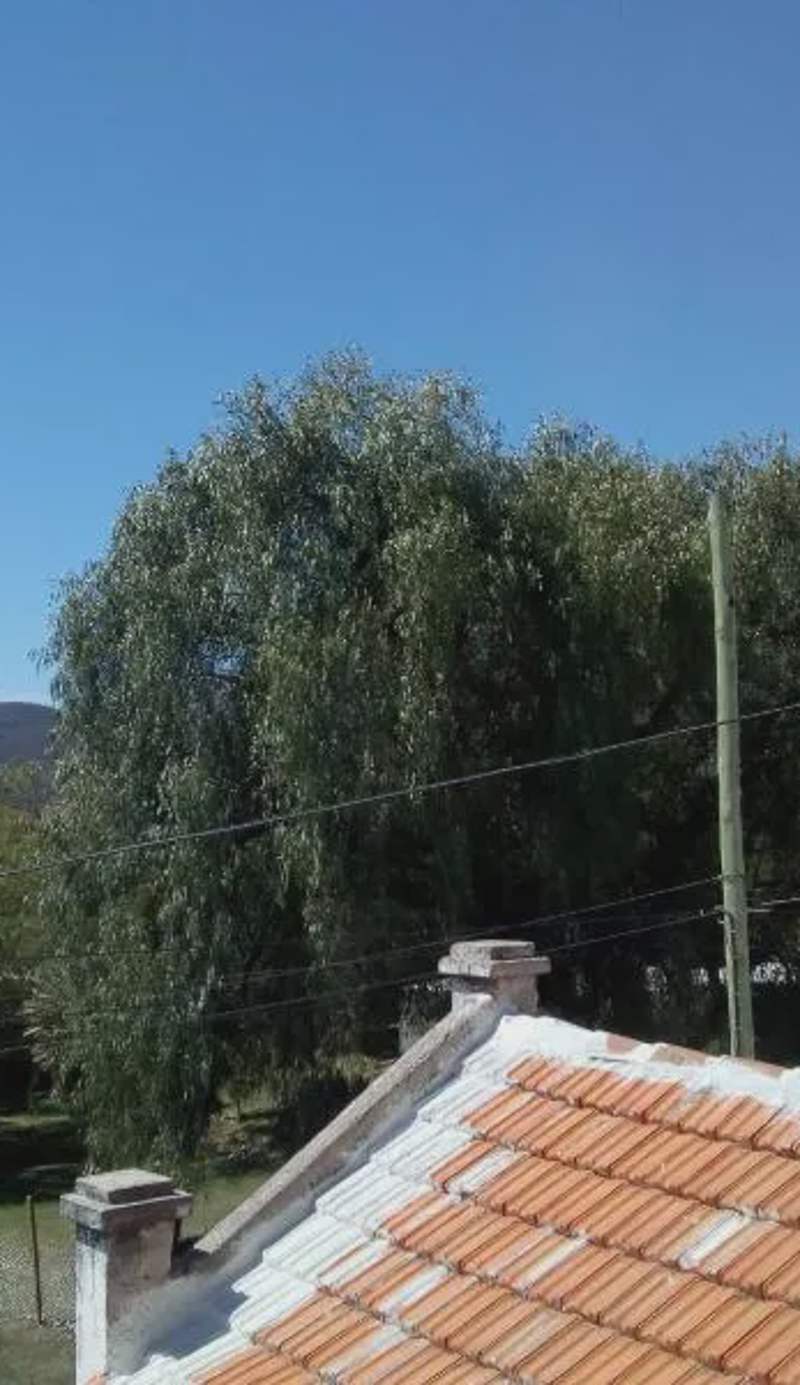 La Higuerita