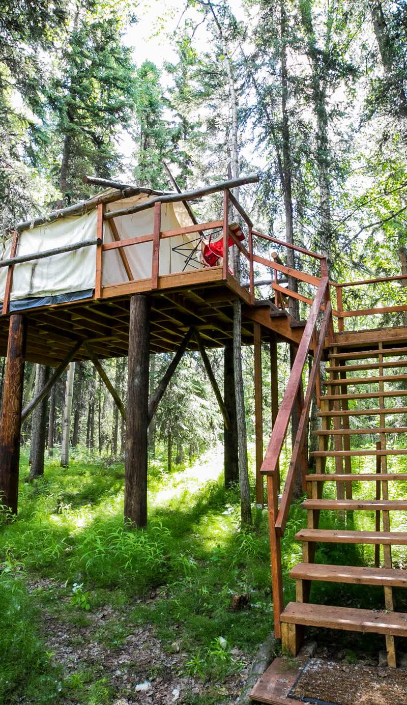 Sven's Basecamp Hostel