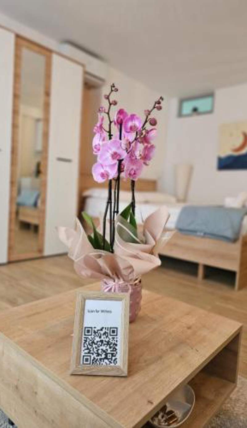 Eja n'Adriatik- Beach studio ground floor