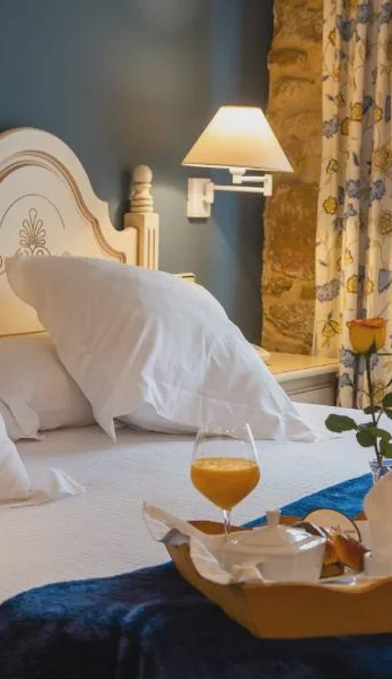 Hotel Palacio De La Viñona