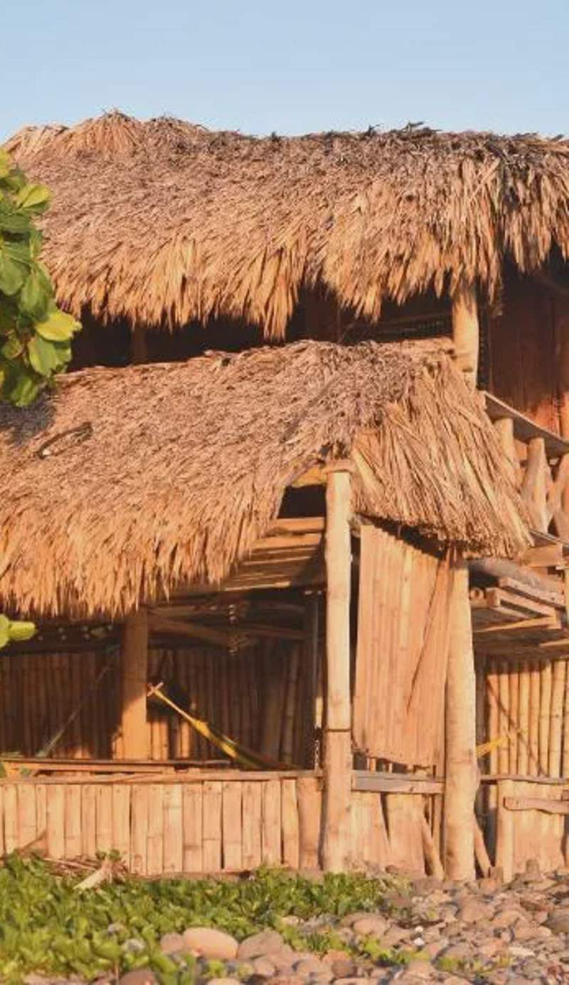 Pelicano Surf Camp