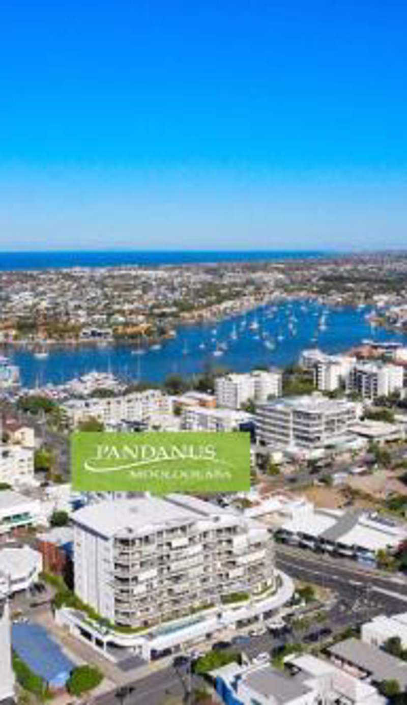 Pandanus Mooloolaba