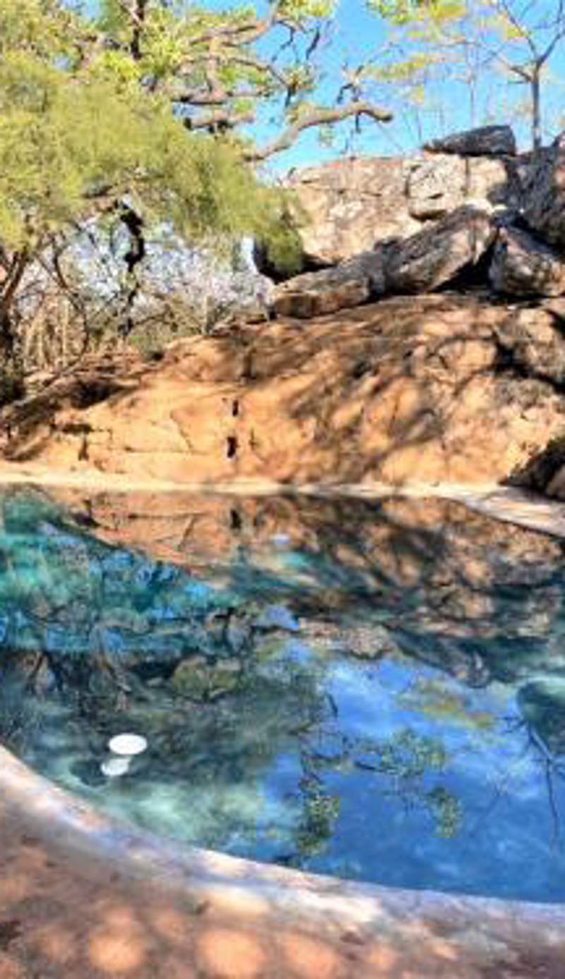 Double Lodge in Natural African Bush - 2112