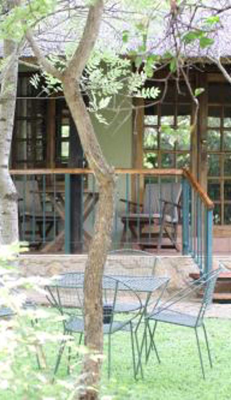 Double Lodge in Natural African Bush - 2111