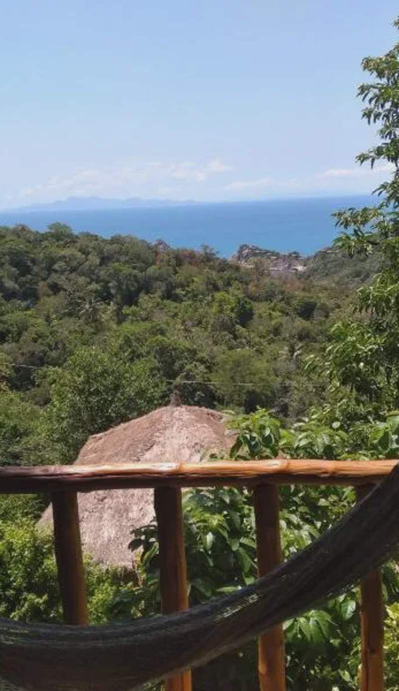 Tree House Bungalows Koh Tao