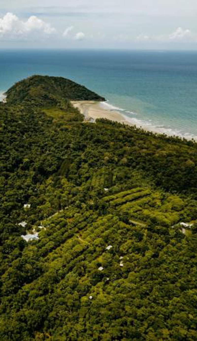 Cape Trib Farm