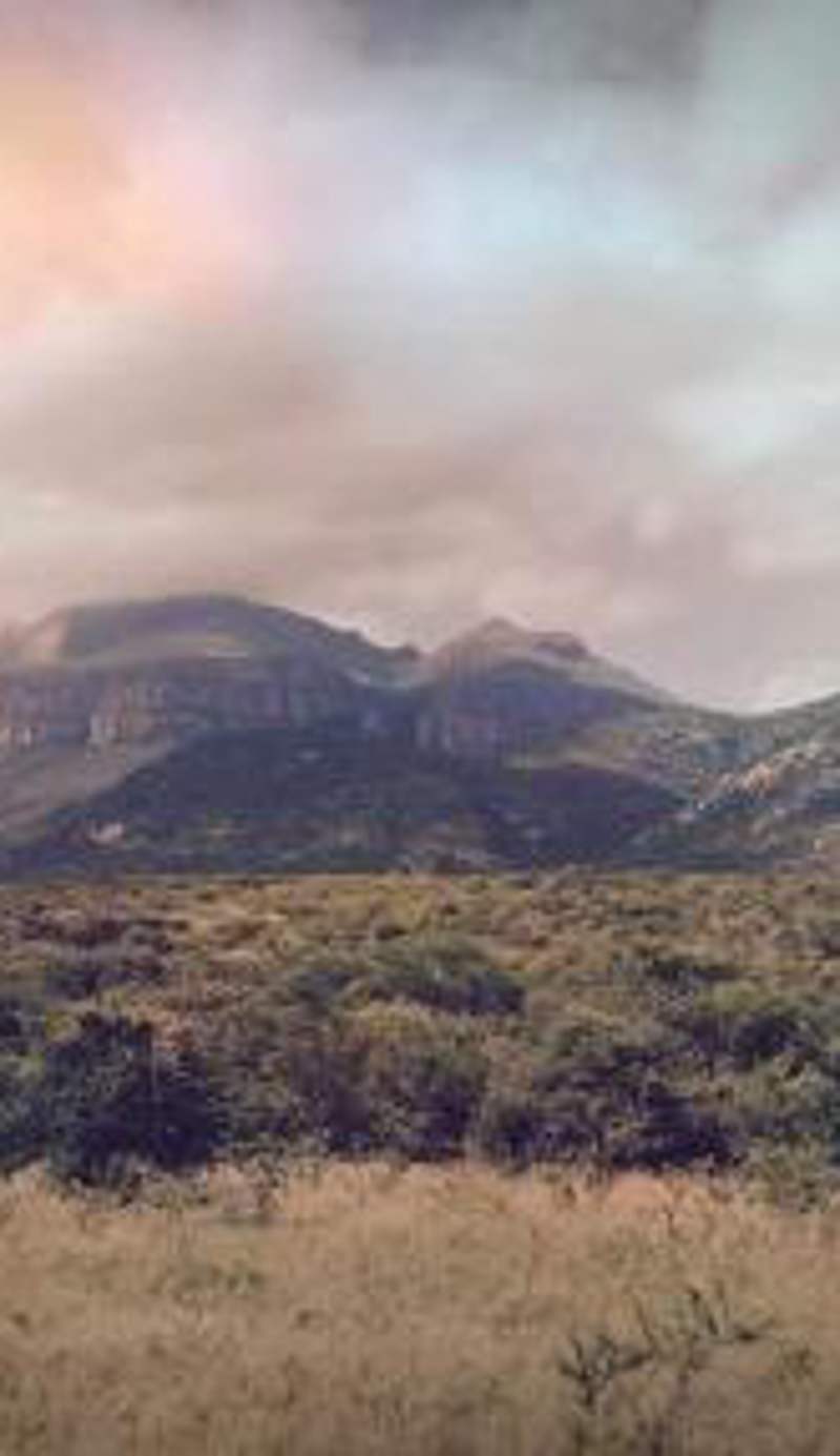 Moholoholo Mountain View