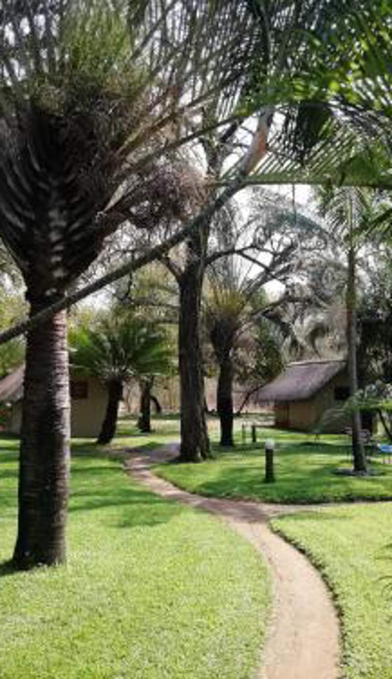Shumba Safari Bush Camp