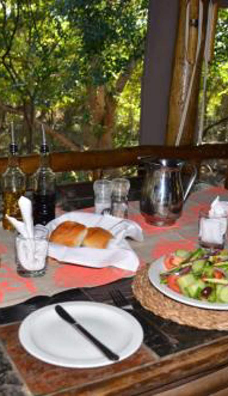 Moholoholo Forest Camp
