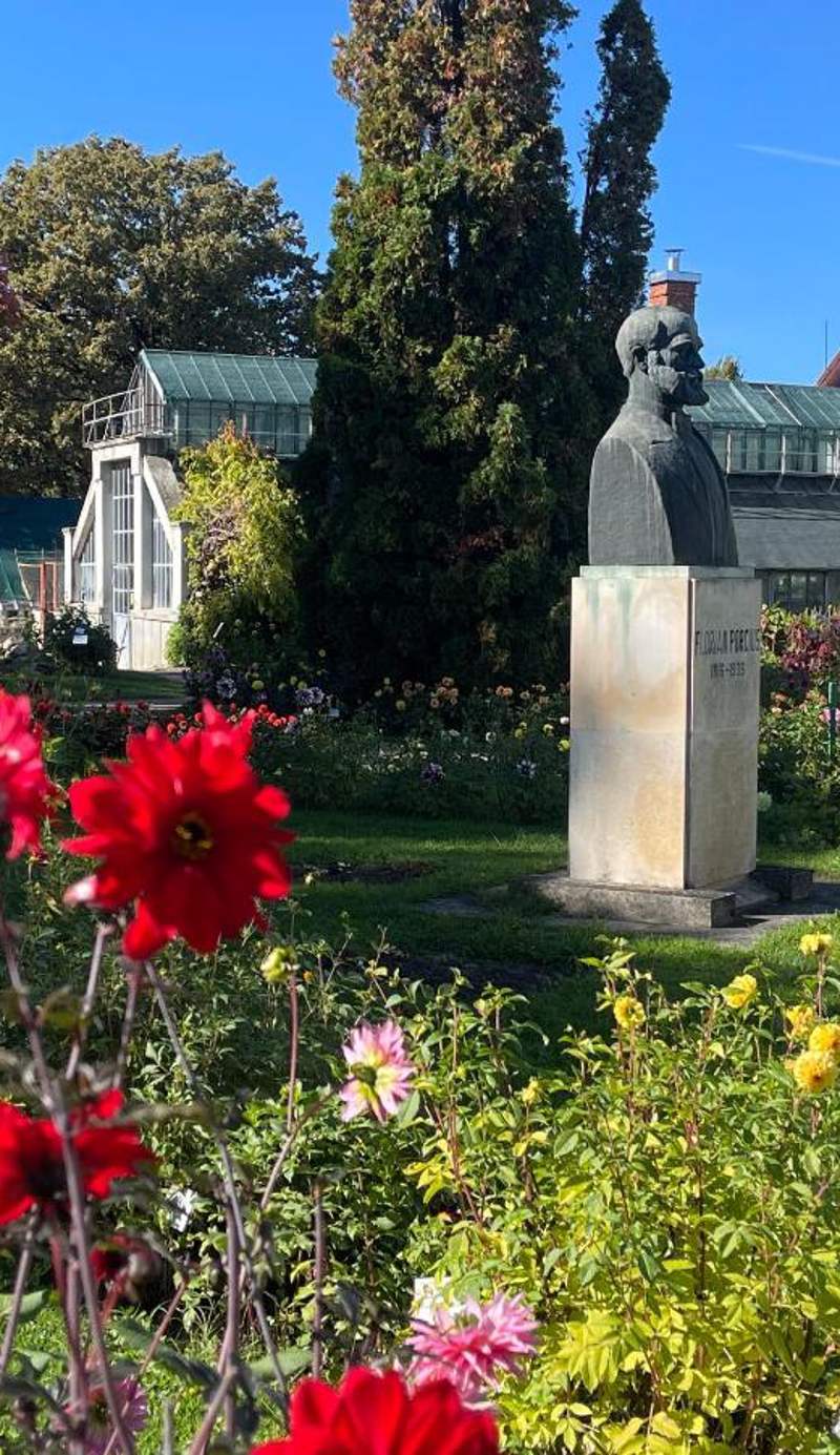 Mansarda mica cu baie proprie