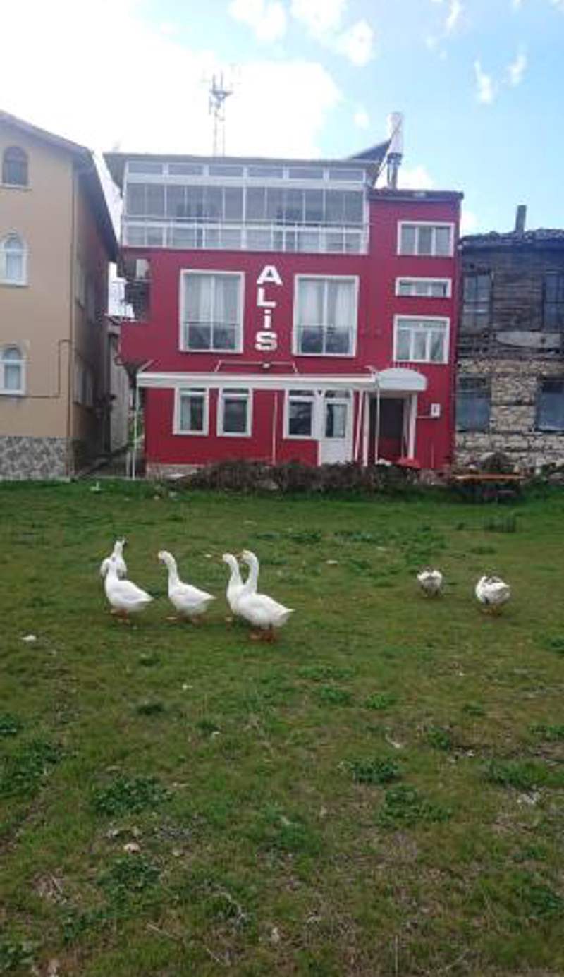 Ali's Pension ada alis