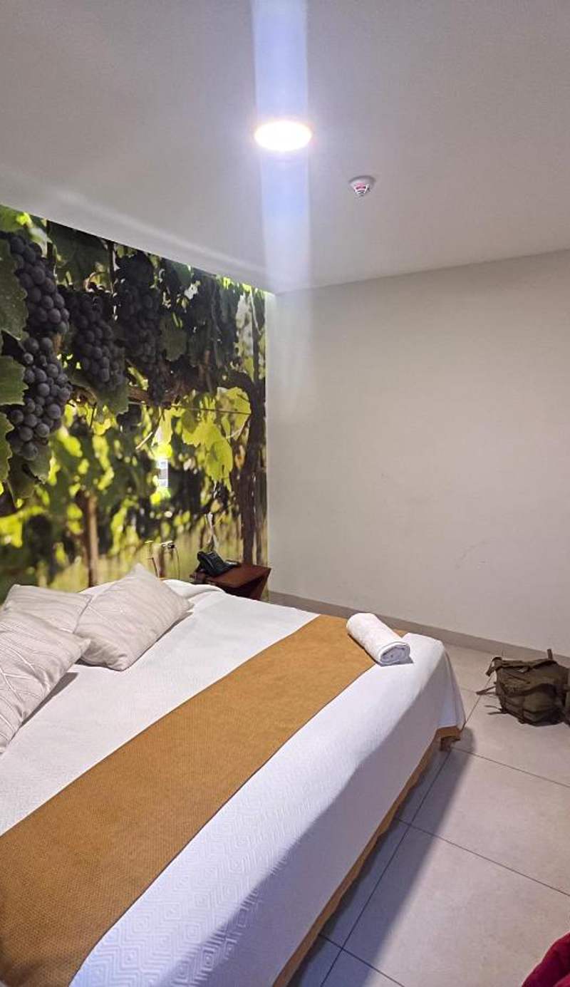 Hotel Boutique Vendimia