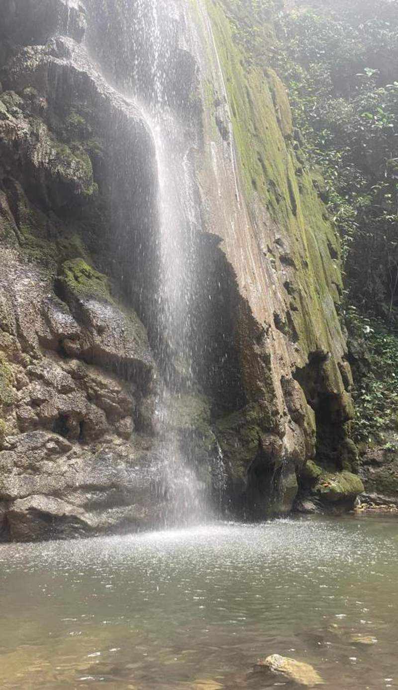 Cabinas Tropicales