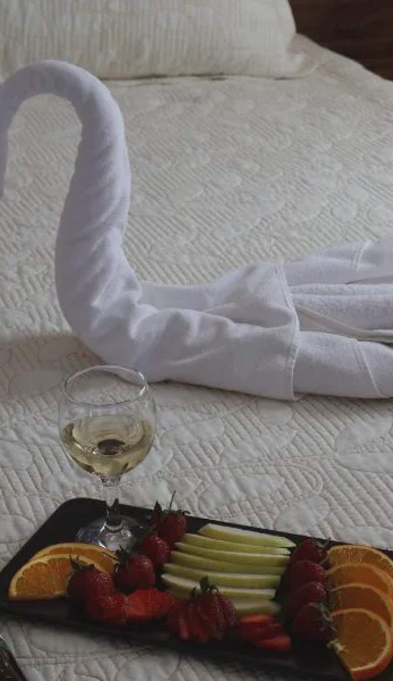 Sevin Stone Hotel