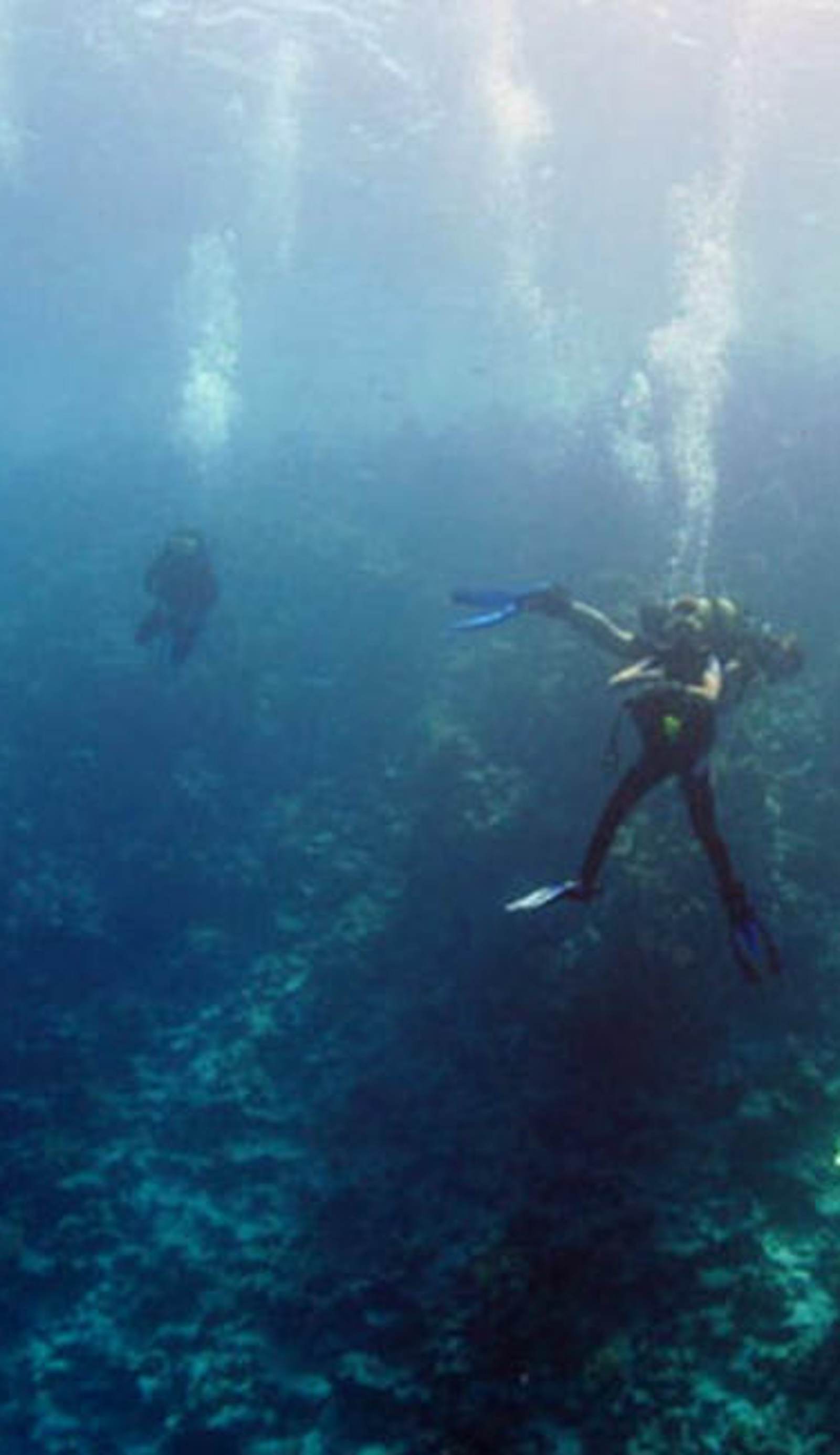Oonas Dive Club