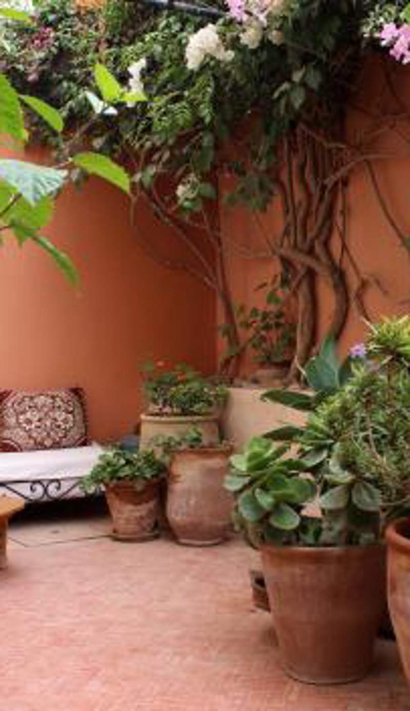 Tilily Home And Garden