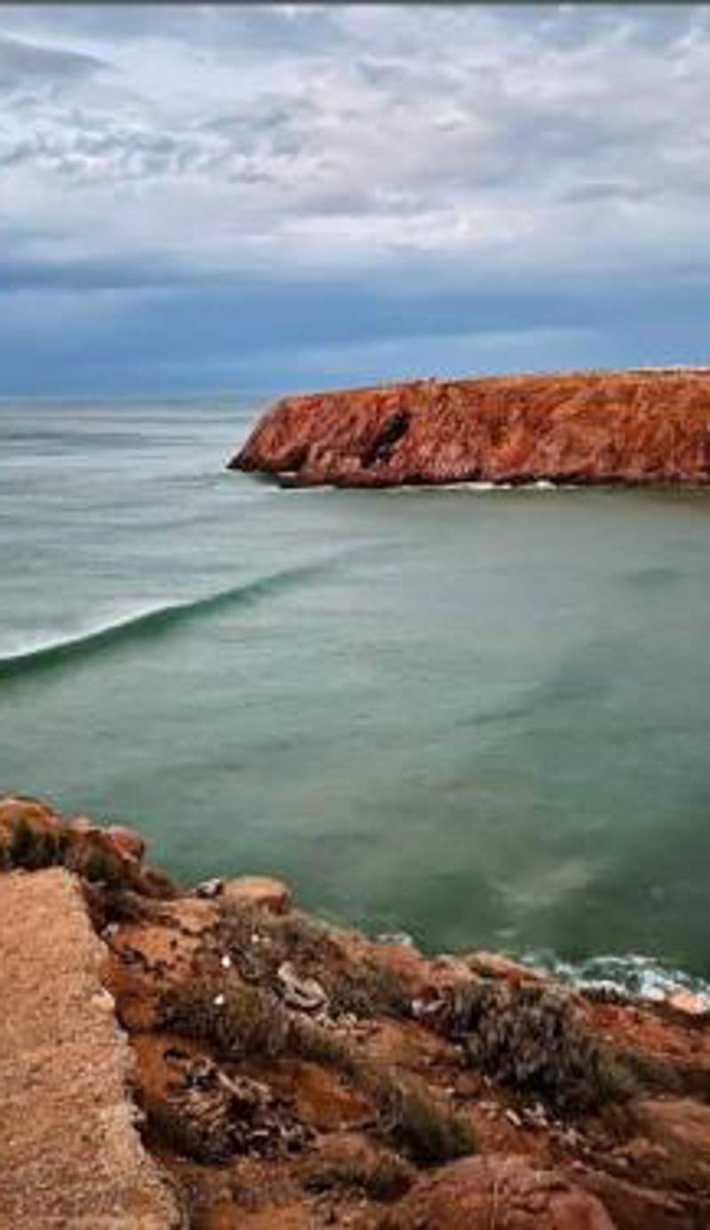 Dar diafa samira surf