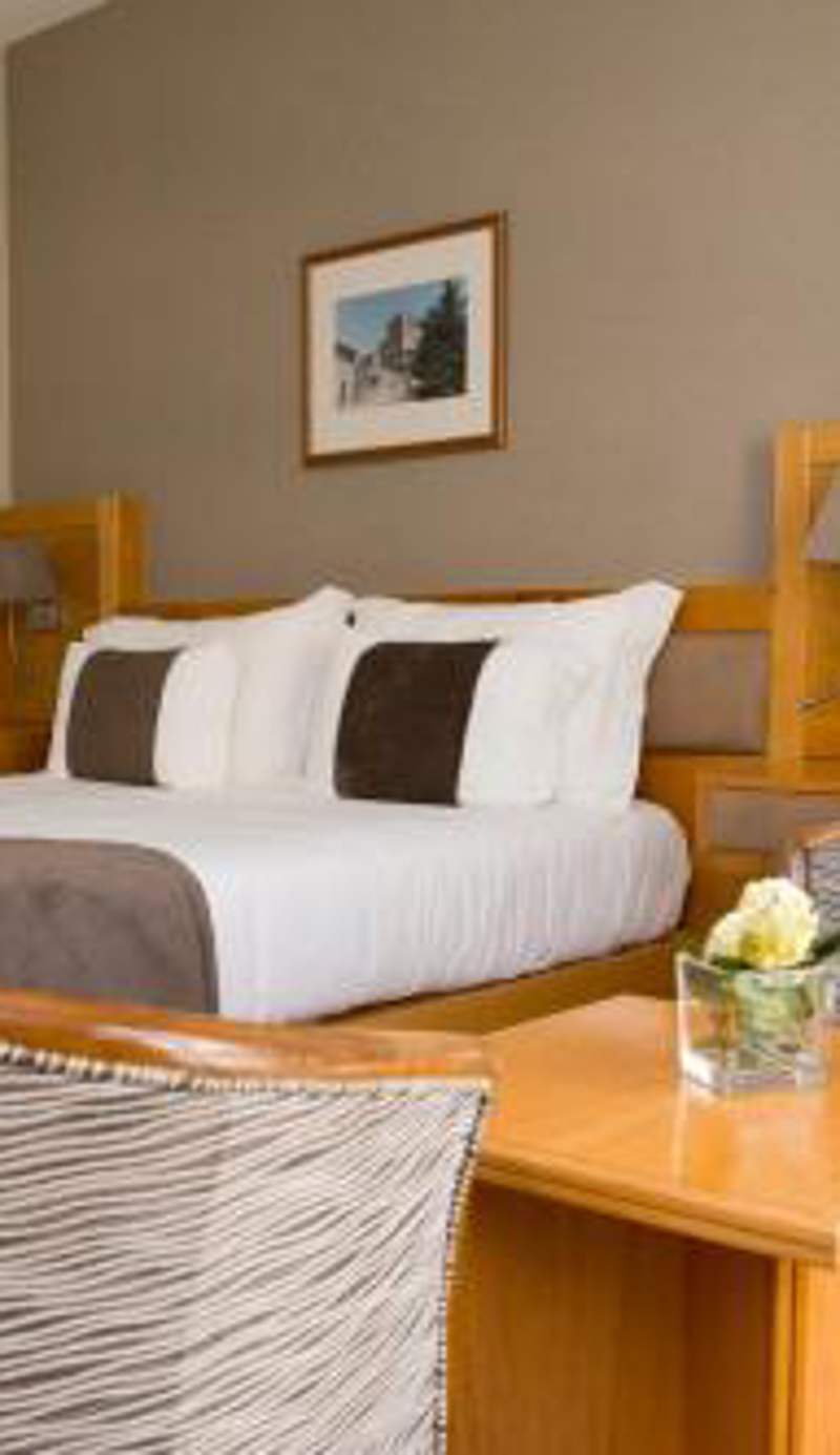 Hotel Rainha D. Amélia, Arts & Leisure