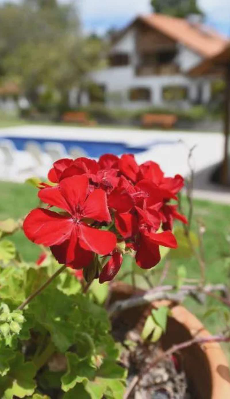Quinta La Constanza