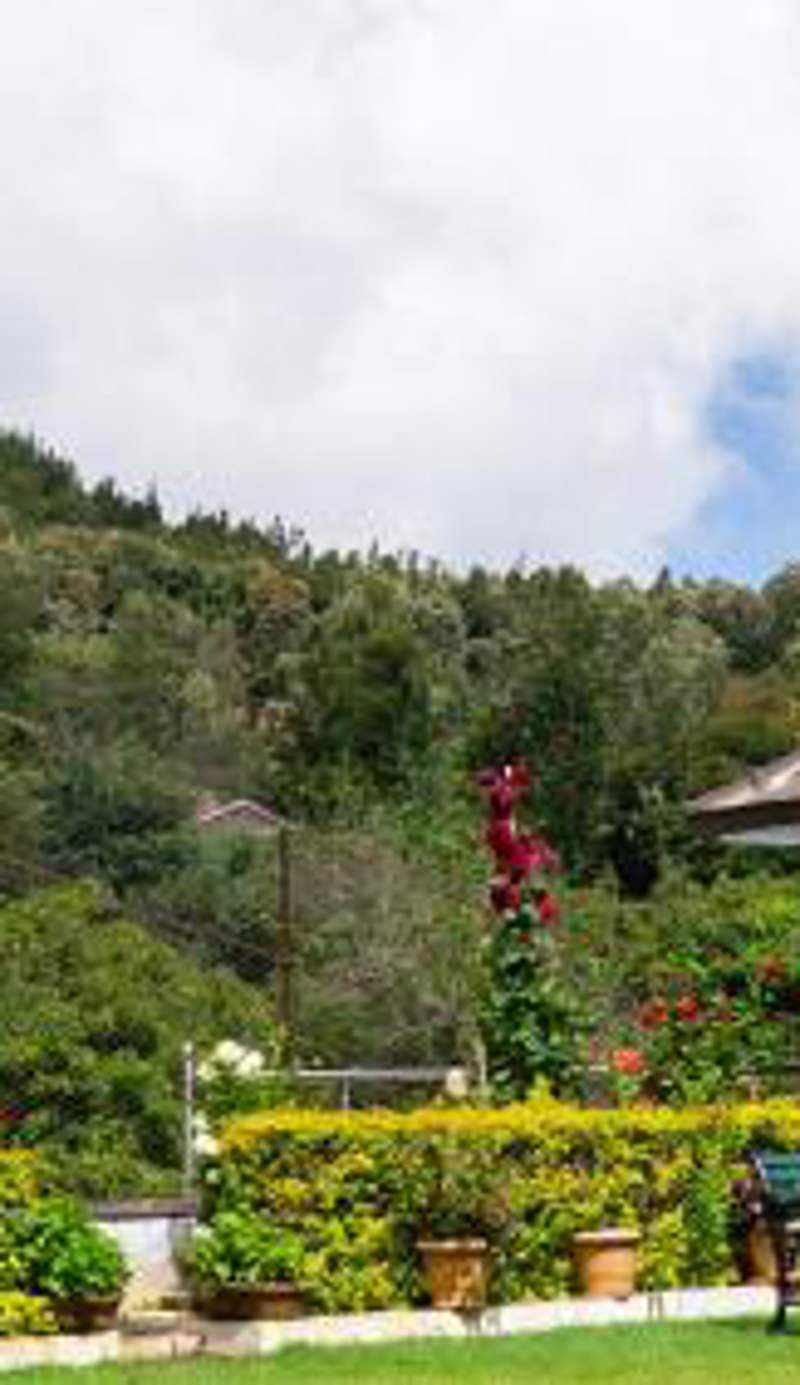 Radosri