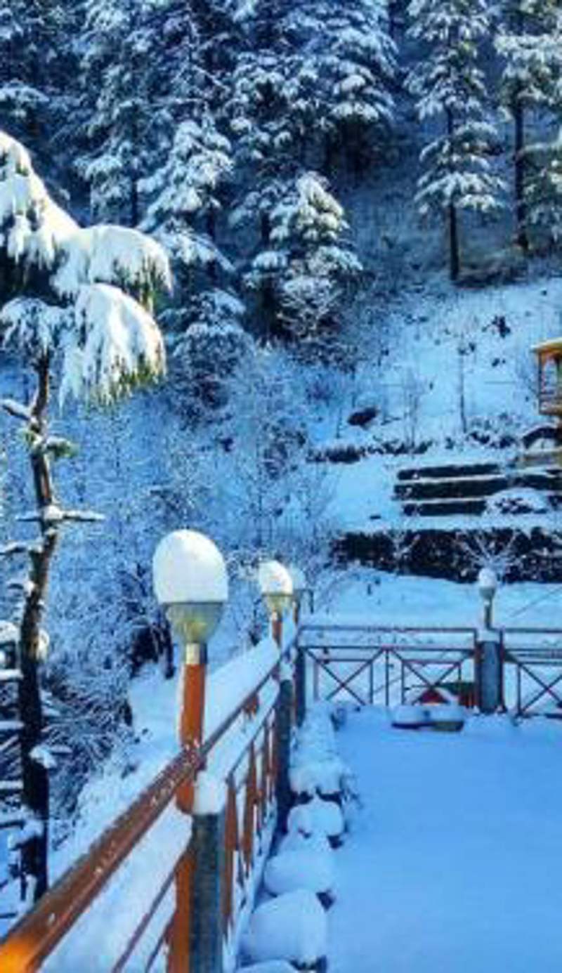 Soham's Chateau De Naggar - Manali