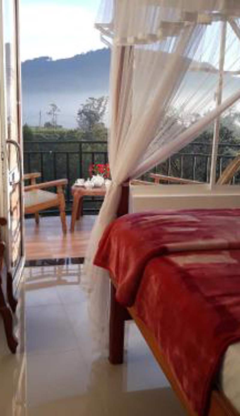 Lilly Guest Inn
