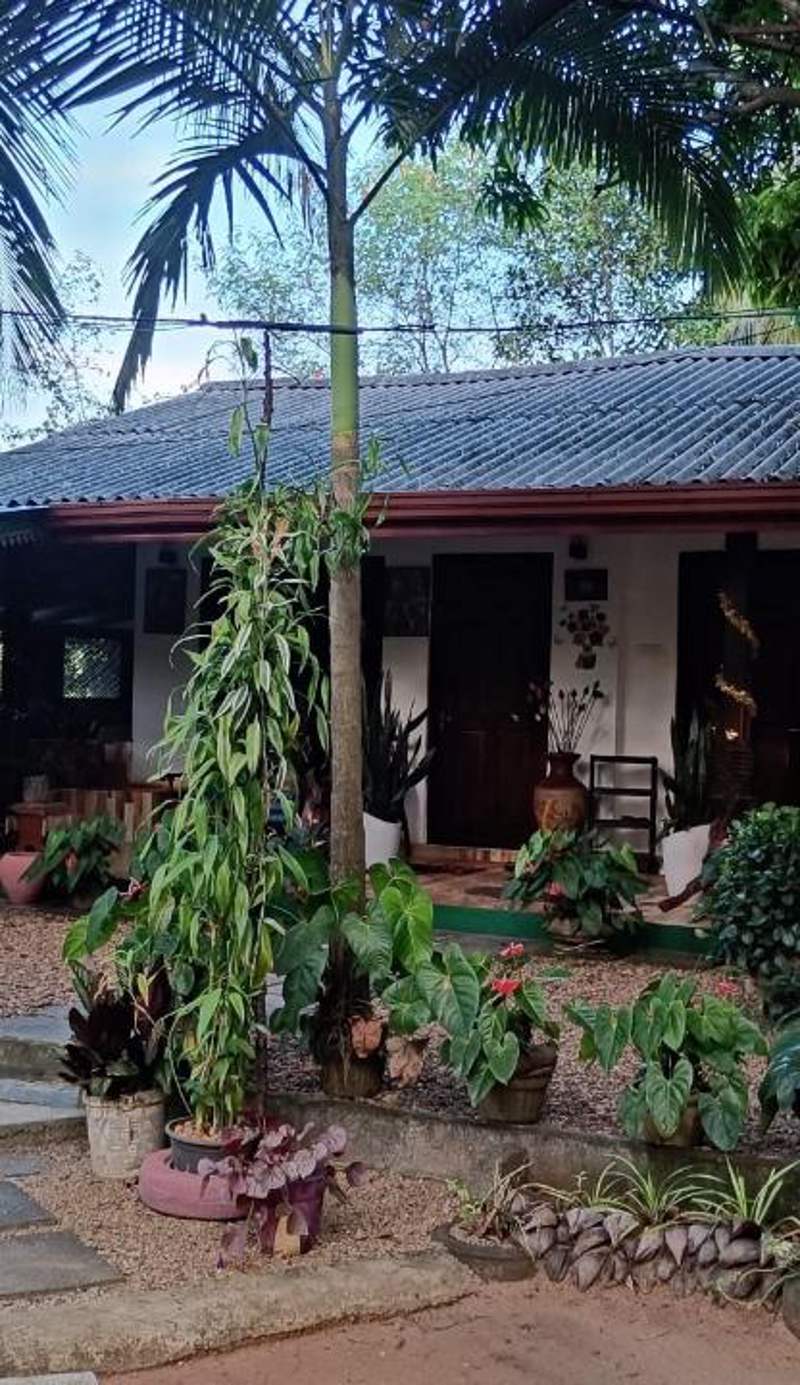 Niduwari Lake Homestay