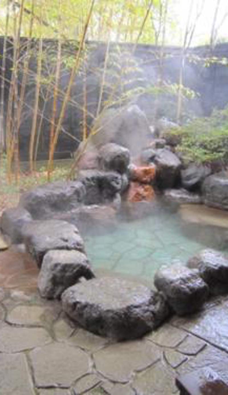 Ryokan Mikasaya
