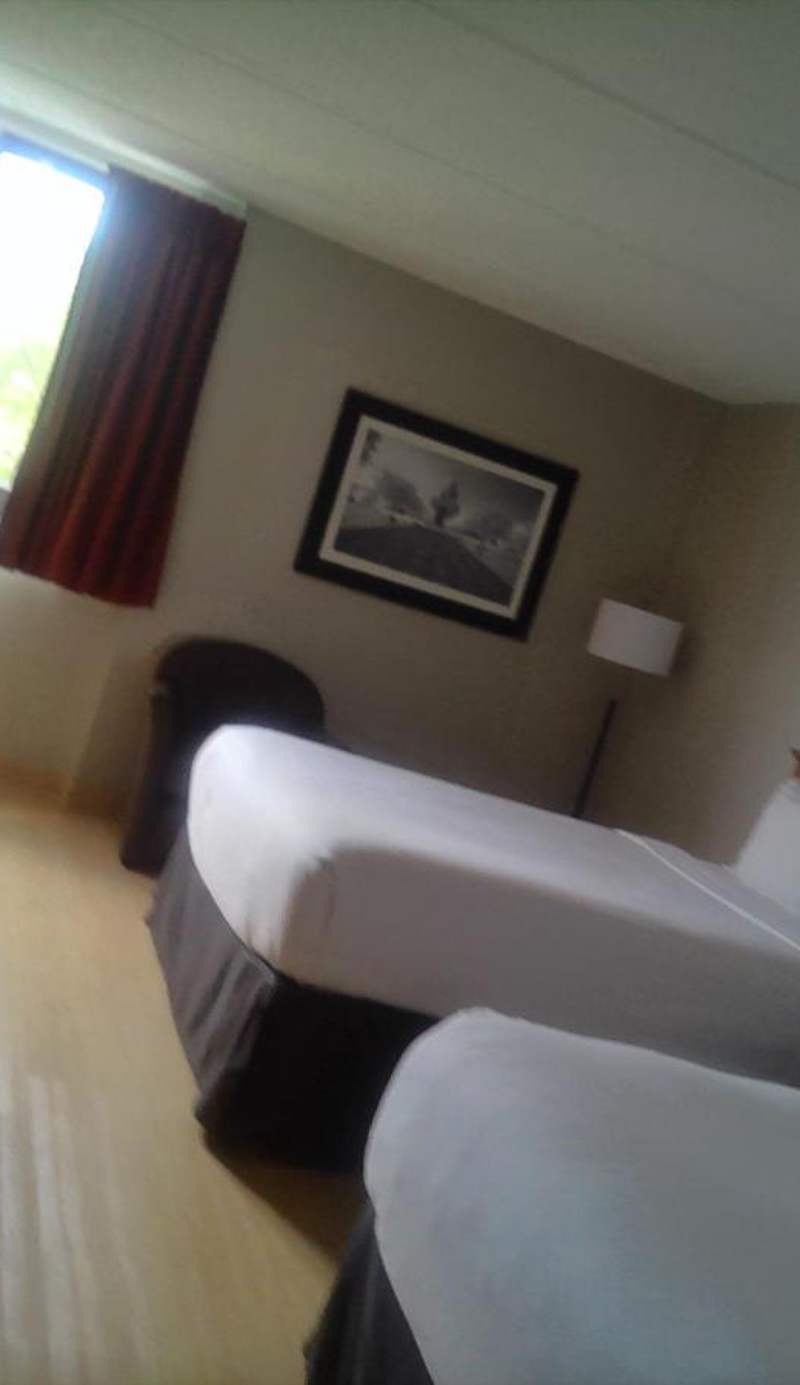 Wyndham Garden Hotel Austin