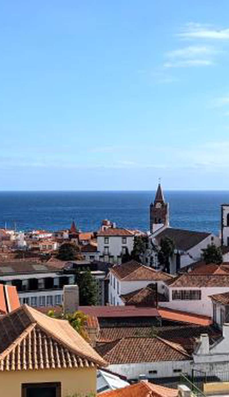 Top-Floor One-Bedroom Flats - Peaceful with Ocean and City Views