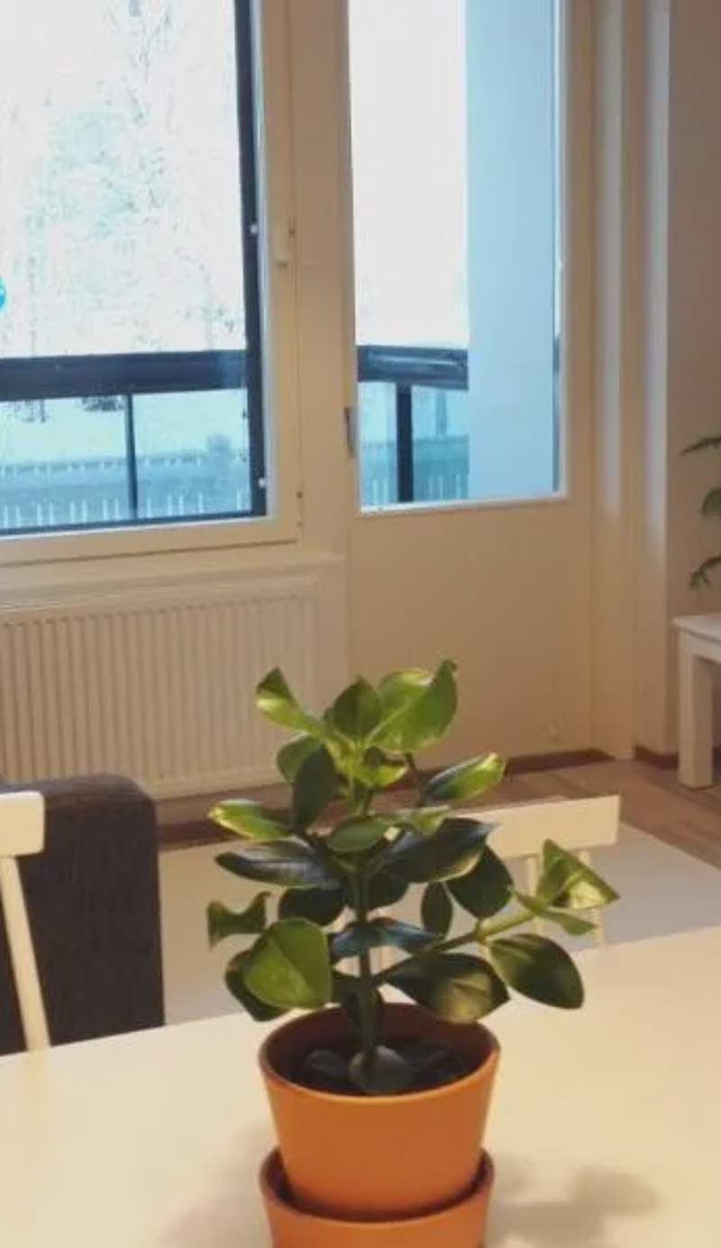 City Apartment Pääsky