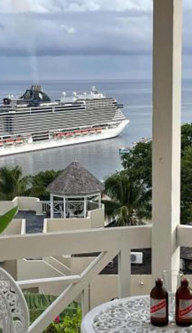 Hummingbird Retreat - Luxury Oceanview Apt, 7-Minute Walk to Beach