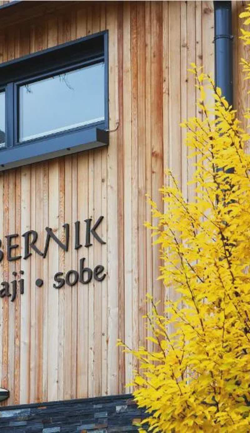 Apartments and Rooms Bernik