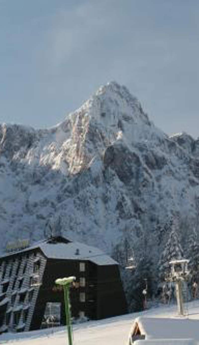 Hotel Alpina