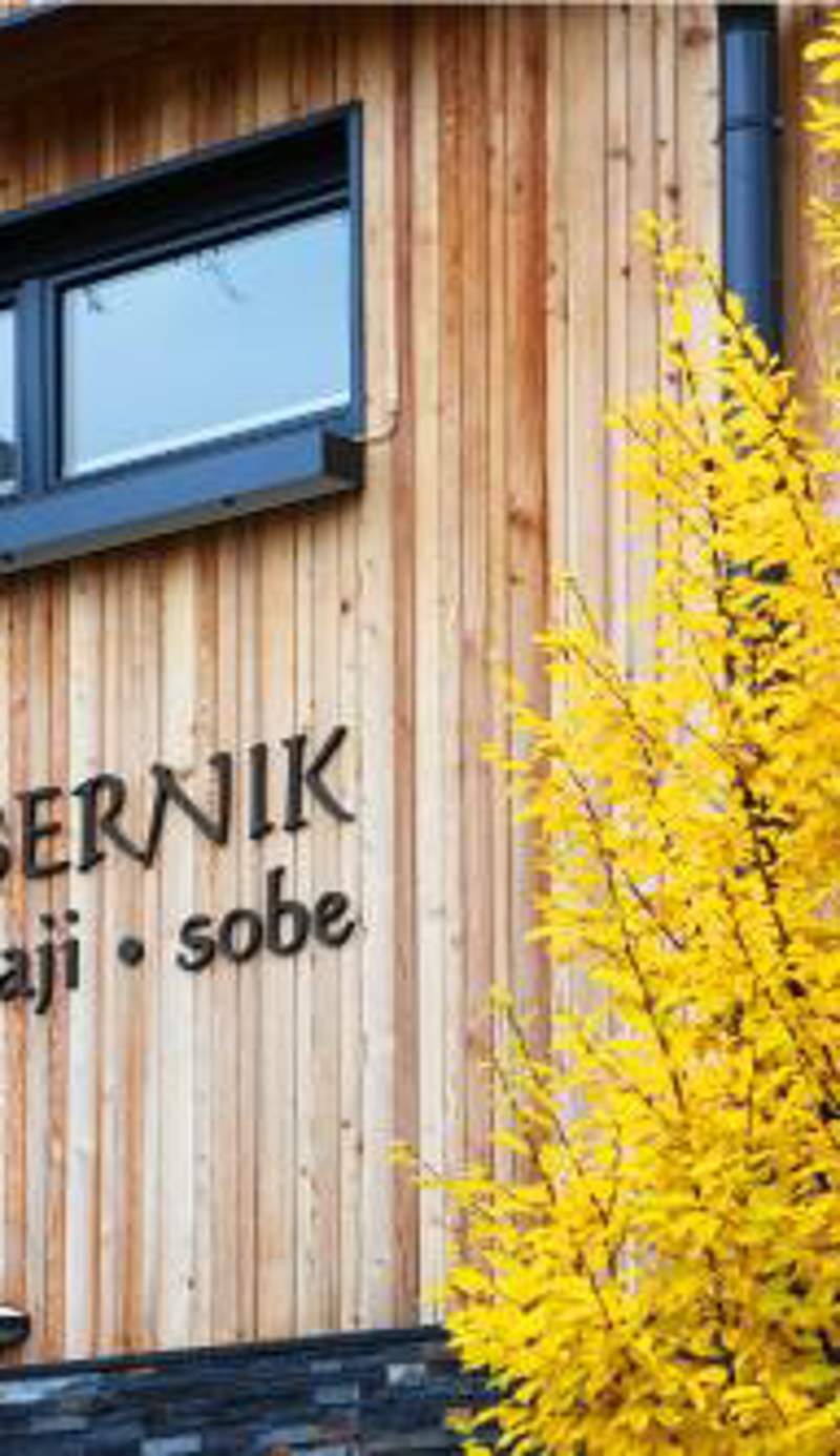 Apartment Bernik II