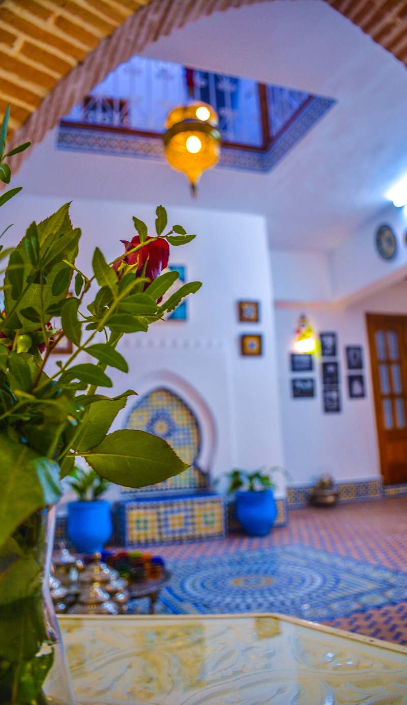 Dari Hostel