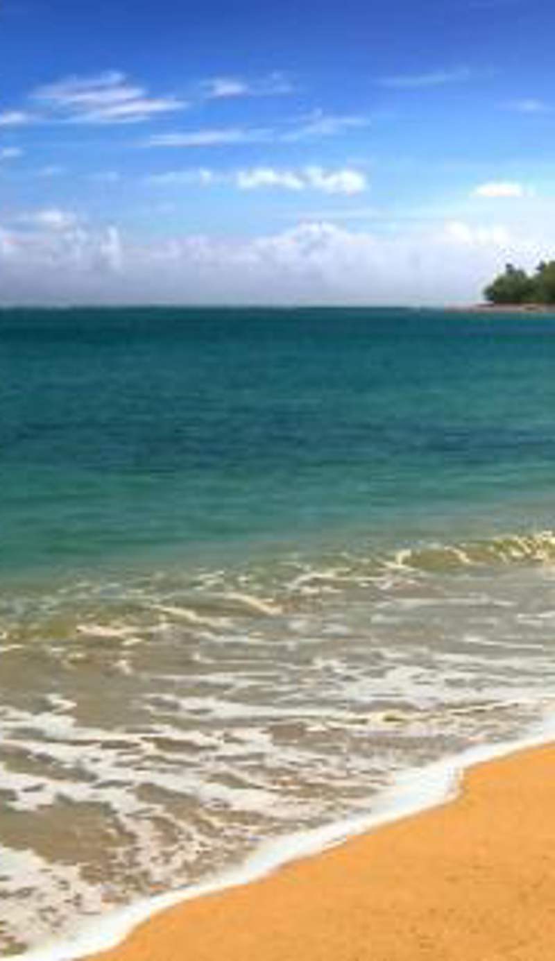 Maui Vista - Kihei Kai Nani Beach Condos