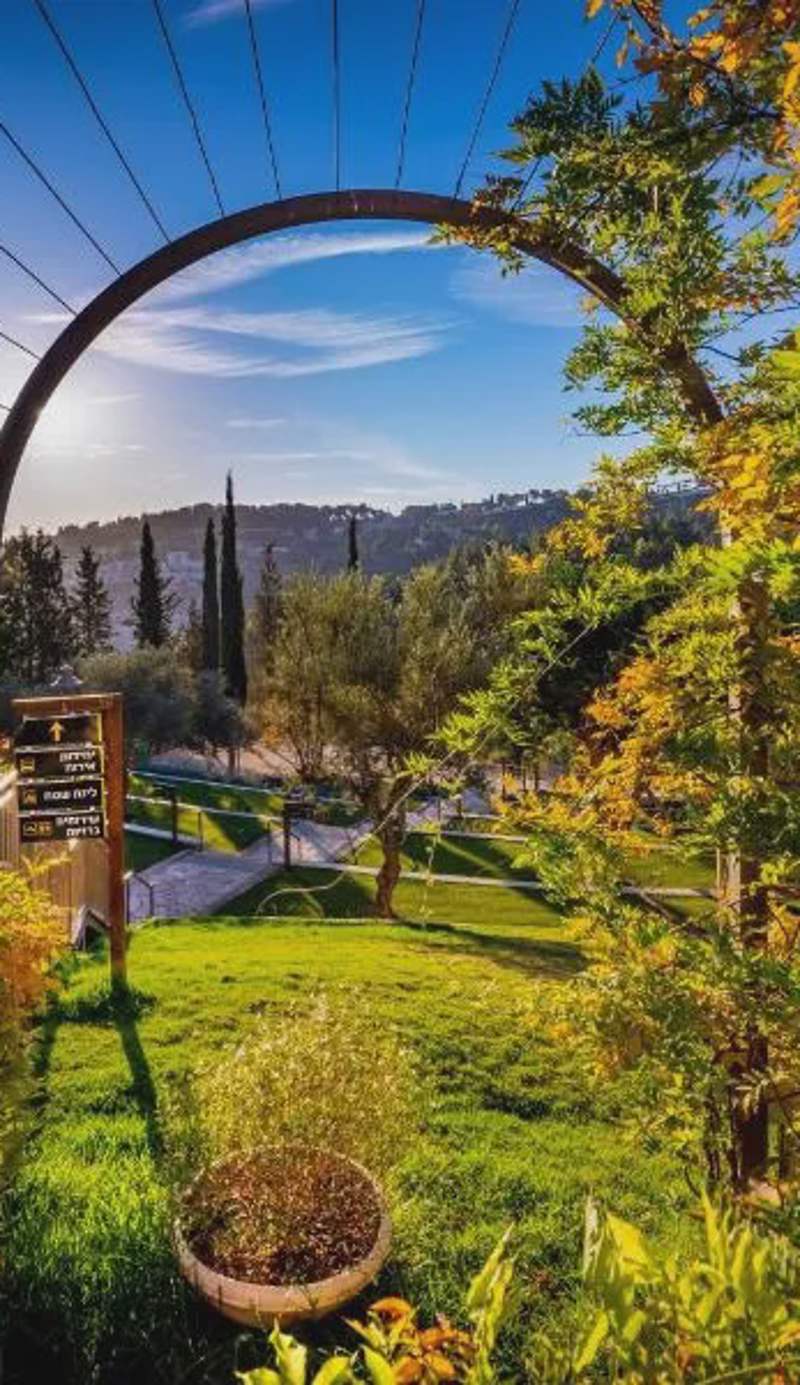 Peace Forest Jerusalem - Cabins & Caravans by City of David