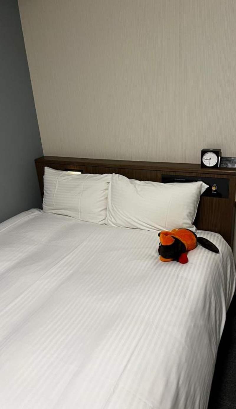 Richmond Hotel Kagoshima Kinseicho