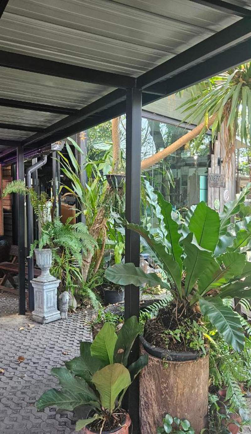 Rayonghouse Resort
